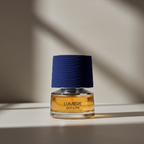 French Avenue Lumiere Garcon 100ML Eau De Parfum