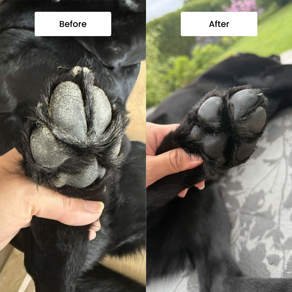 Paw Protect Balm 2 pack - för torra tassar och nosar
