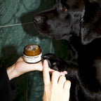 Pawdicure Set - For Dry and Dirty Paws