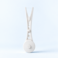 Flossy - The reusable dental flosser